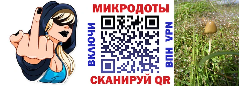 KRAKEN ТОР Ярцево Псилоцибиновые грибы GOLDEN TEACHER мориарти состав закладка